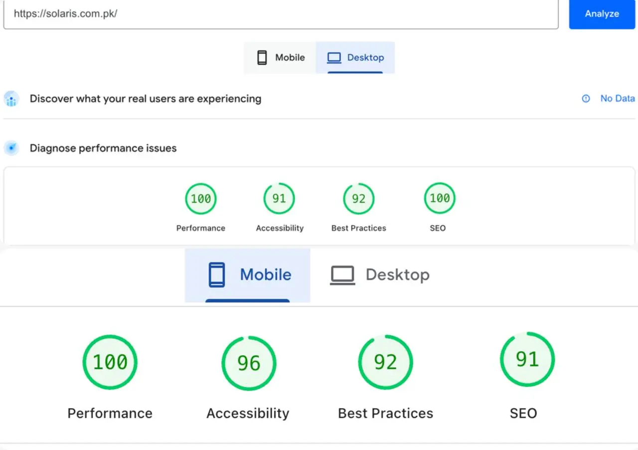 Google PageSpeed Insights performance report from digital marketing portfolio